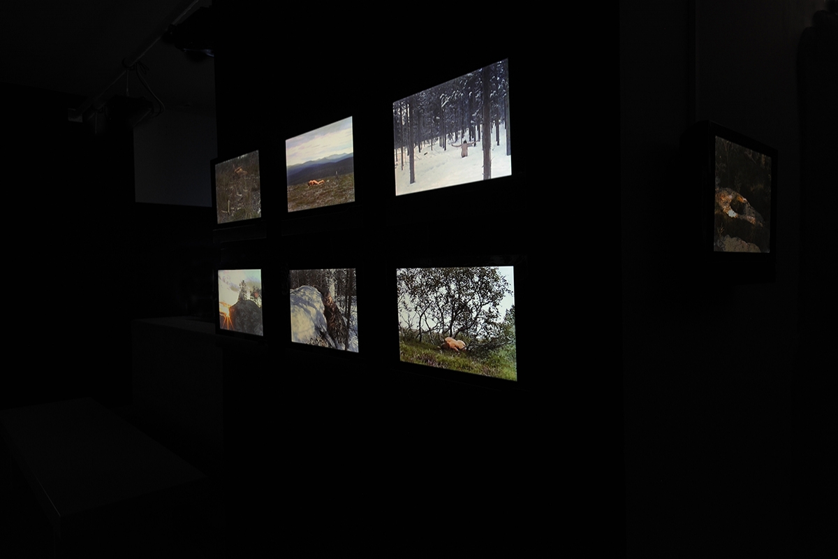 Video installation from 